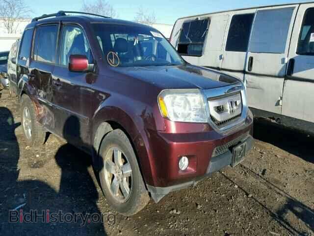 Фотография 5FNYF4H59AB036278 - HONDA PILOT 2010