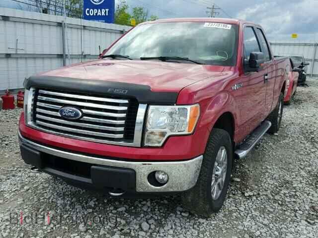 2011 FORD F150 - VIN: 1FTFX1EF3BFA37584 - Фото 2