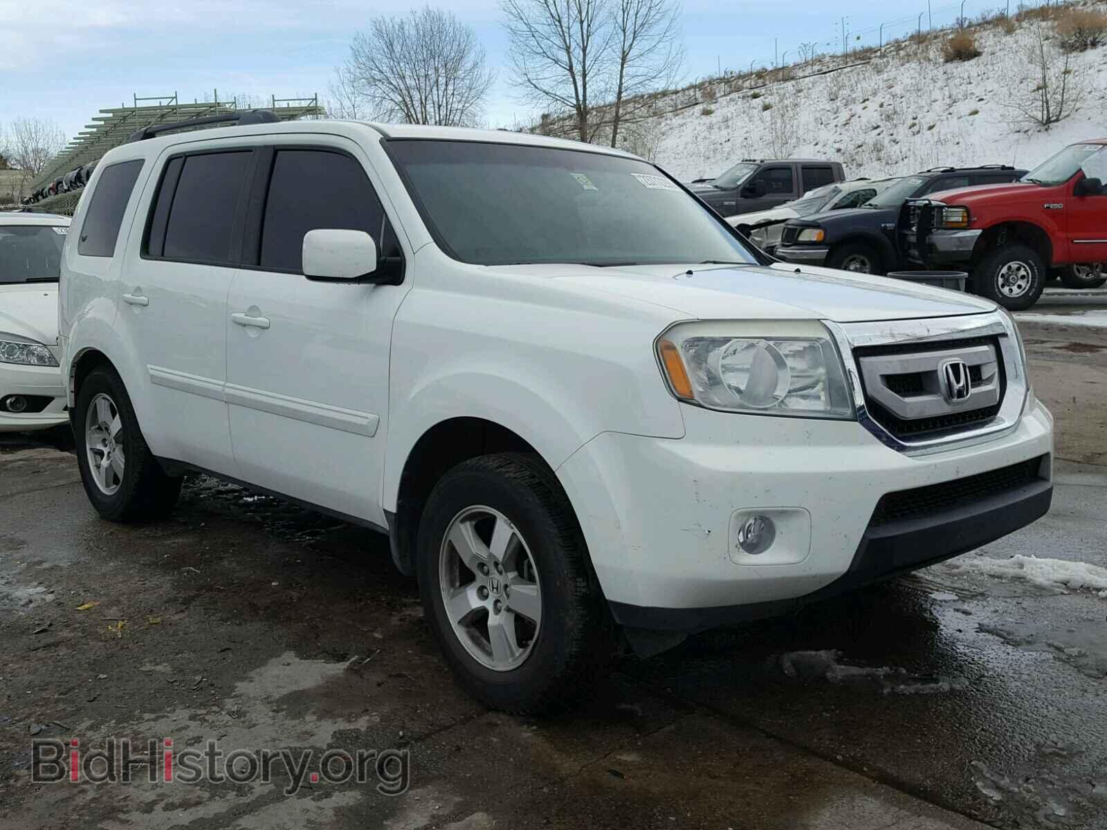 Фотография 5FNYF4H48AB017308 - HONDA PILOT 2010