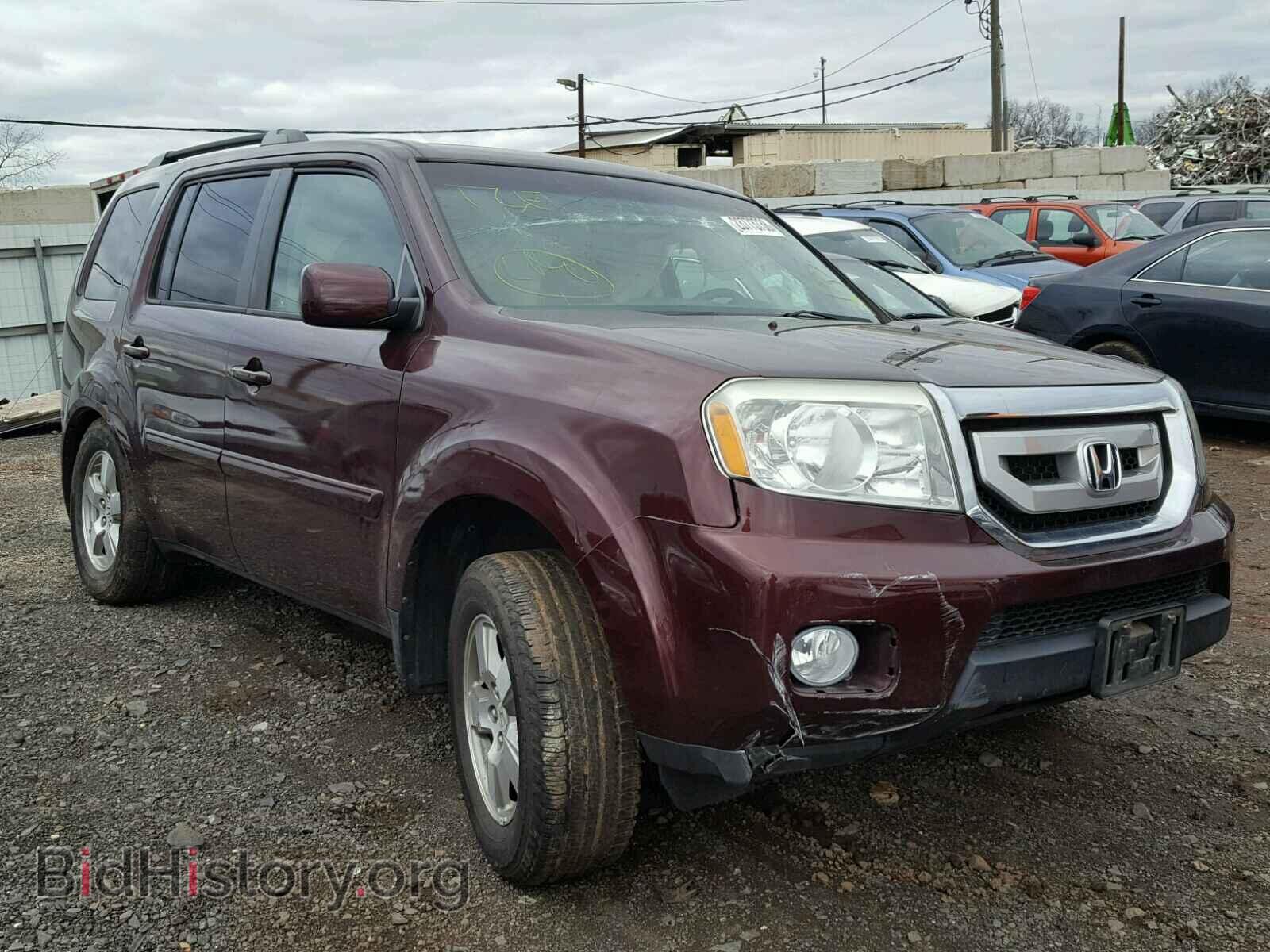 Photo 5FNYF48549B021375 - HONDA PILOT 2009