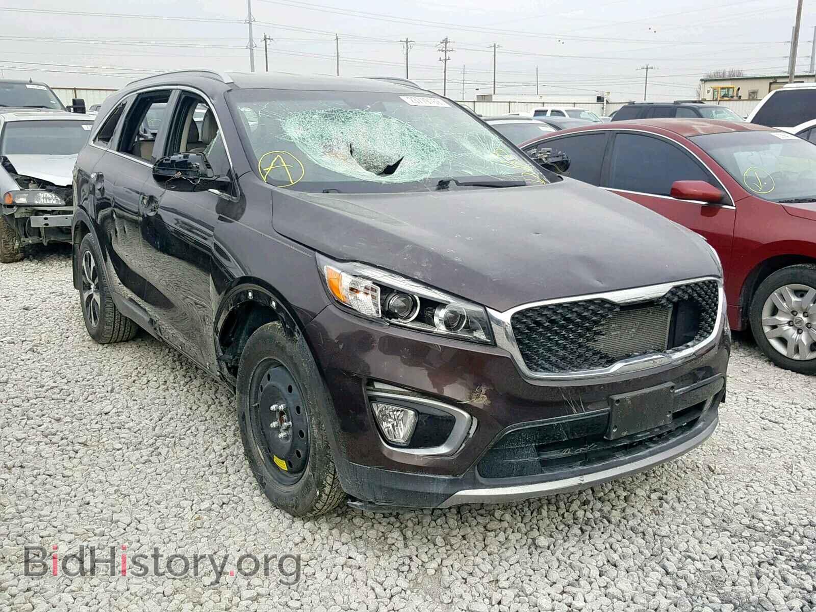 Photo 5XYPH4A50GG047140 - KIA SORENTO EX 2016