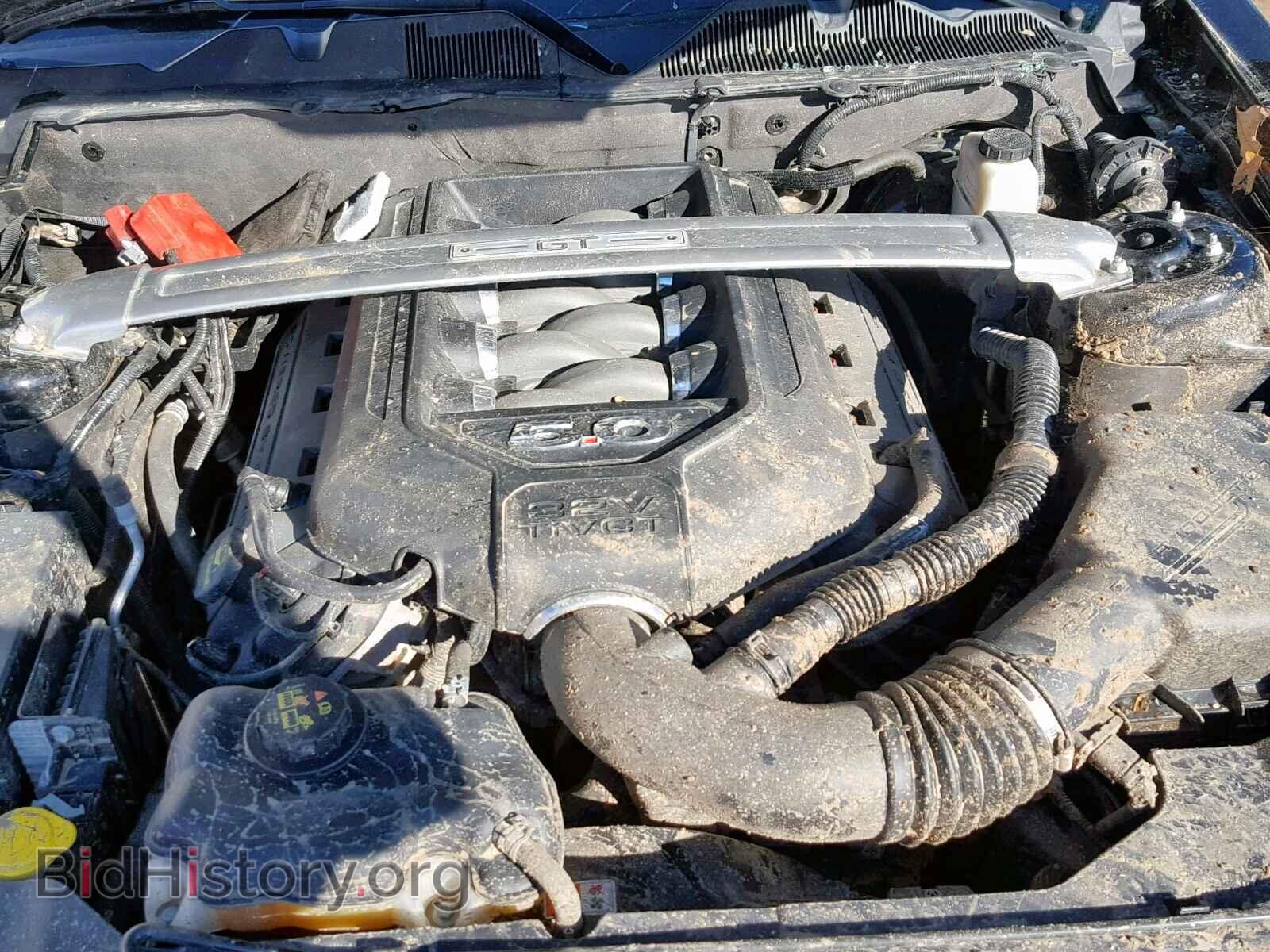 2014 FORD MUSTANG - VIN: 1ZVBP8CF7E5247056 - Фото 7