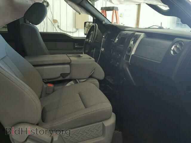 2013 FORD F150 - VIN: 1FTFX1EF4DKD33773 - Фото 5