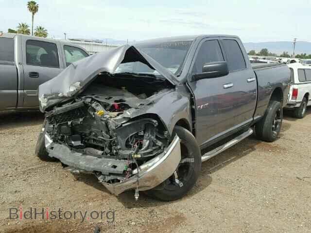 2009 DODGE RAM 1500 - VIN: 1D3HV18P29S779728 - Фото 2