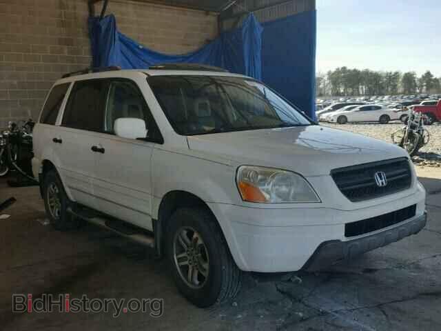 Photo 5FNYF18575B016969 - HONDA PILOT 2005