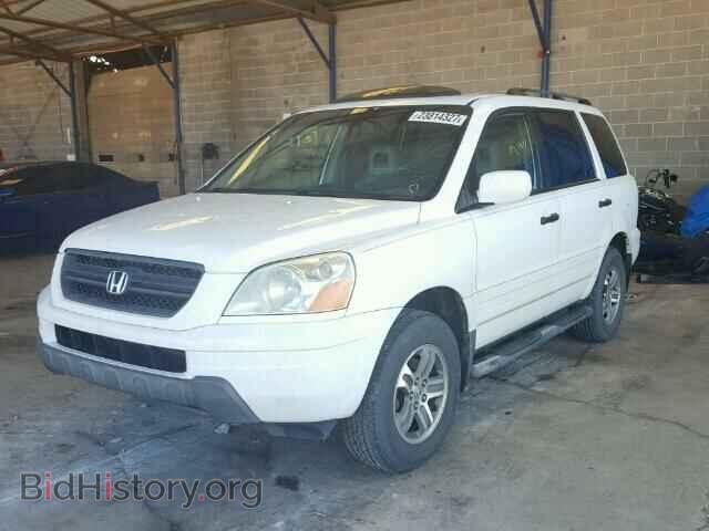 2005 HONDA PILOT - VIN: 5FNYF18575B016969 - Фото 2