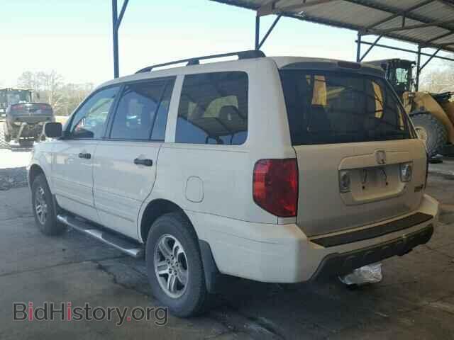 2005 HONDA PILOT - VIN: 5FNYF18575B016969 - Фото 3