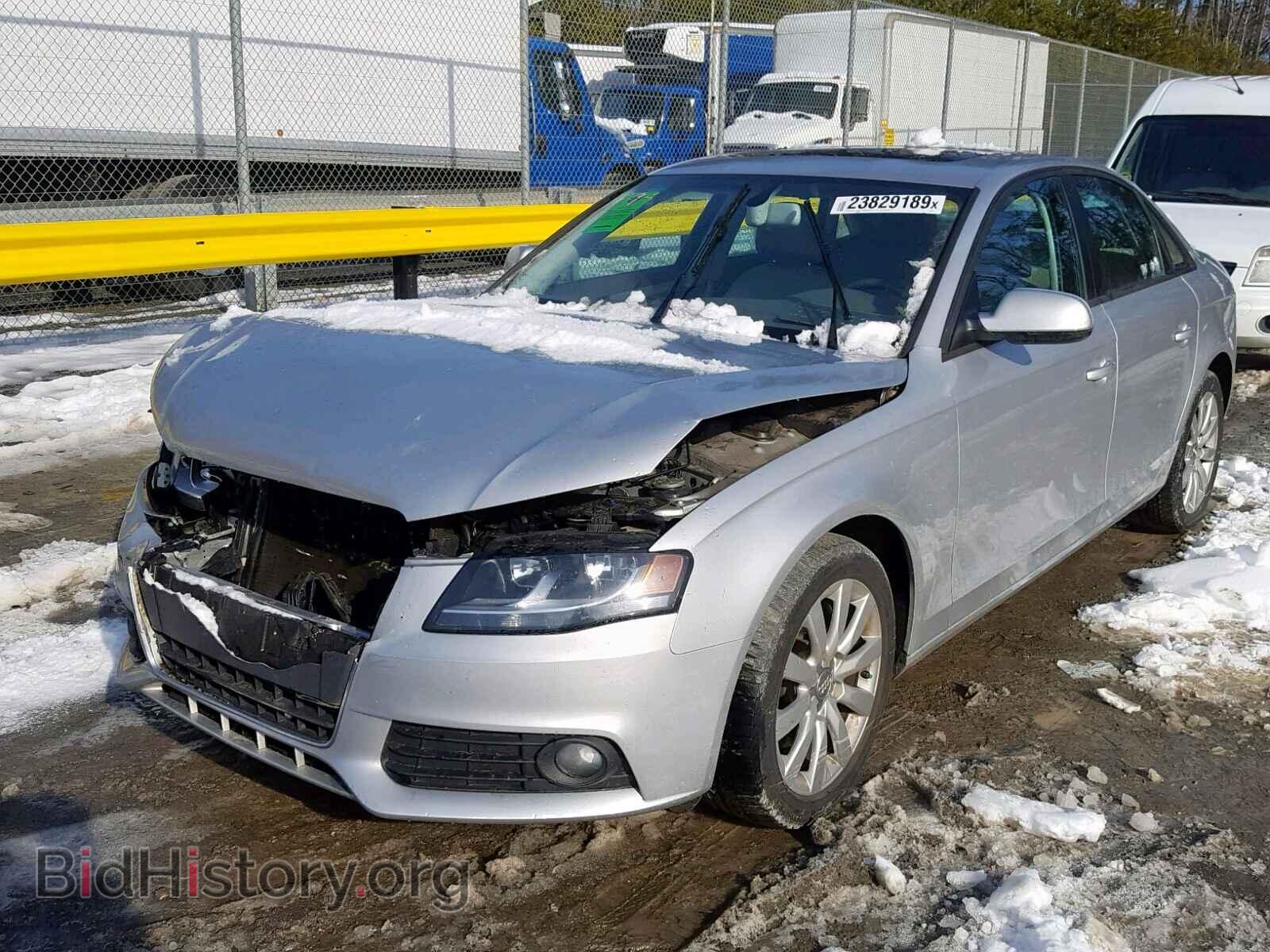 2012 AUDI A4 - VIN: WAUAFAFL3CN017132 - Фото 2