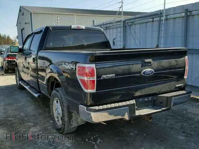 2011 FORD F150 - VIN: 1FTFW1EF0BFB62335 - Фото 3