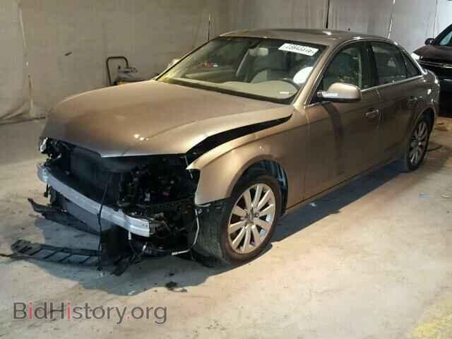 2010 AUDI A4 - VIN: WAUEFAFL7AN036541 - Фото 2