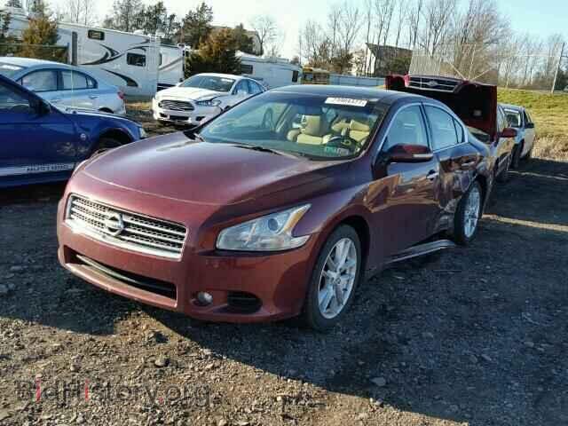 2010 NISSAN MAXIMA - VIN: 1N4AA5AP6AC806473 - Фото 2