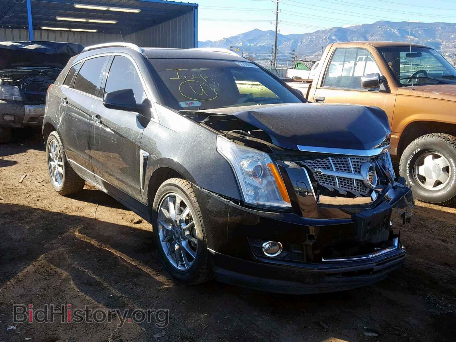 Фотография 3GYFNDE32DS512602 - CADILLAC SRX PERFOR 2013