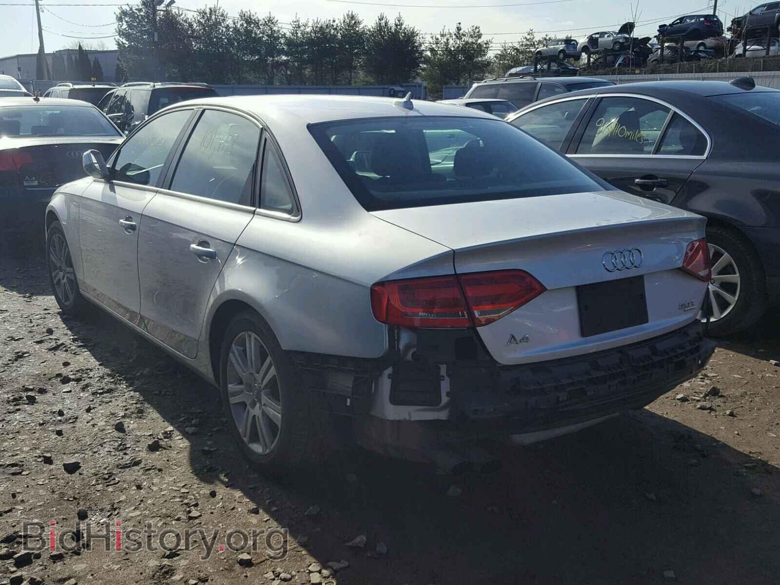 2010 AUDI A4 - VIN: WAUBFAFL6AN003551 - Фото 3