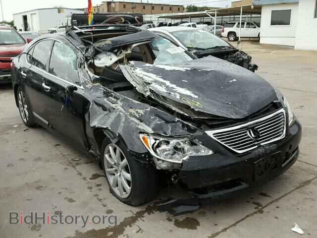 Фотография JTHBL46F185083597 - LEXUS LS460 2008