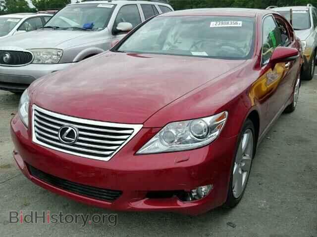2011 LEXUS LS460 - VIN: JTHBL5EF1B5105130 - Photo 2
