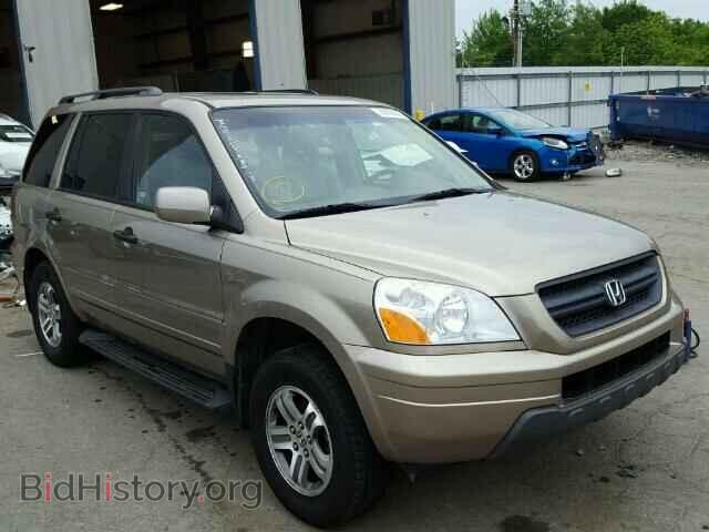 Photo 5FNYF18535B019206 - HONDA PILOT 2005