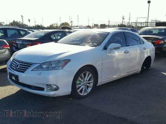 2010 LEXUS ES350 - VIN: JTHBK1EG3A2386593 - Фото 2