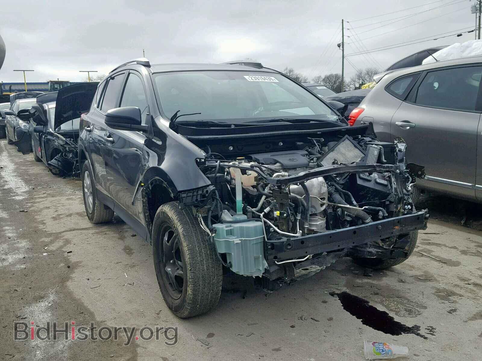 Photo 2T3ZFREV4DW014287 - TOYOTA RAV4 LE 2013