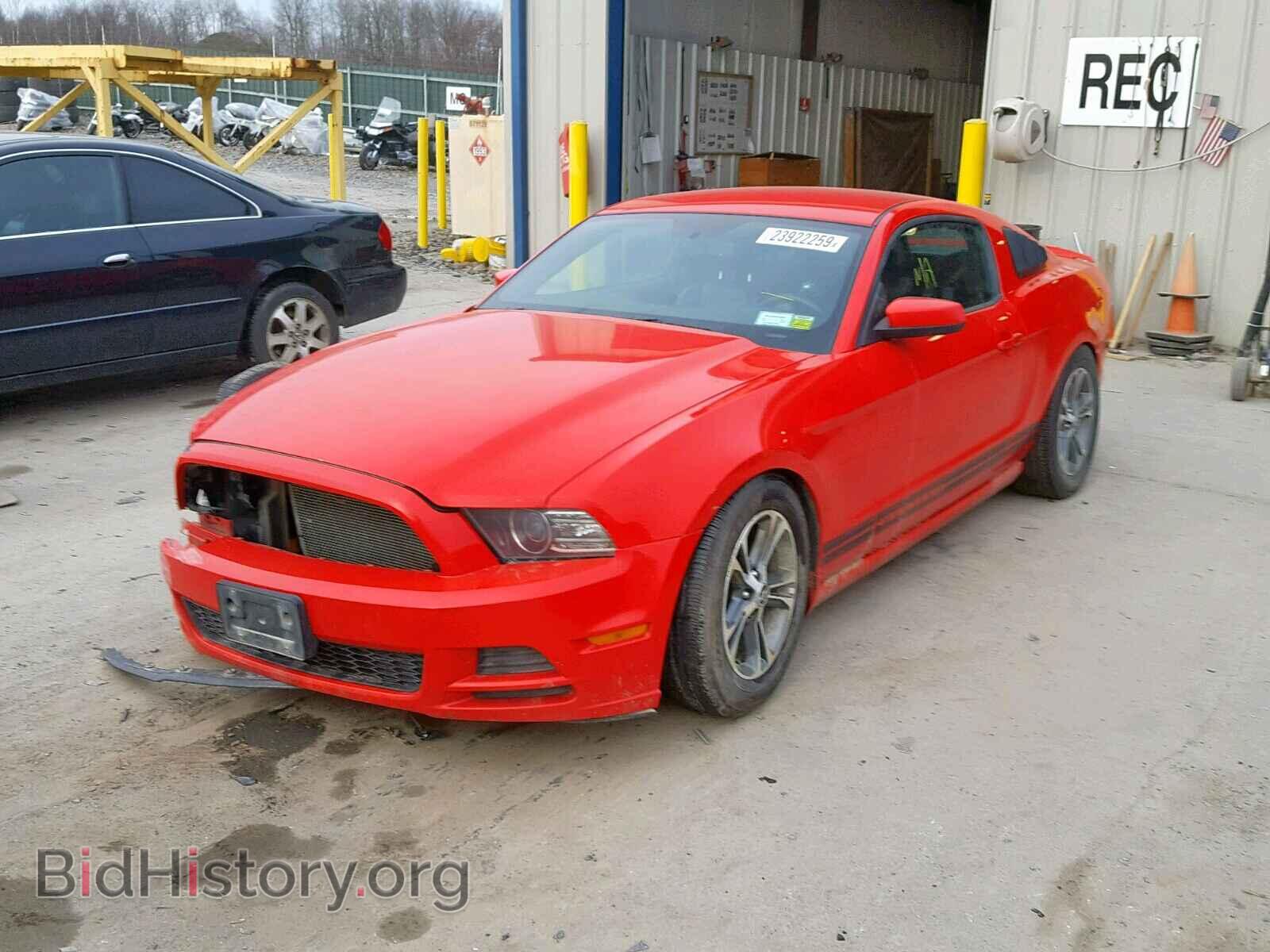 2013 FORD MUSTANG - VIN: 1ZVBP8AM7D5243766 - Фото 2