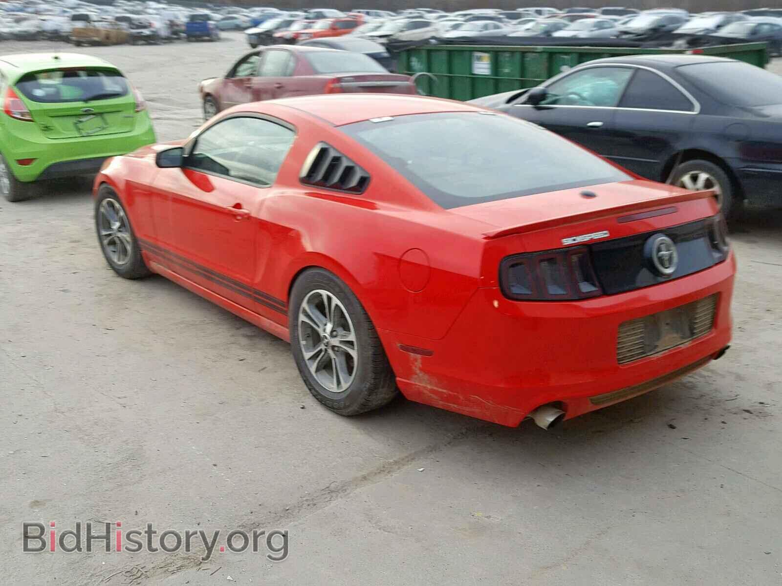 2013 FORD MUSTANG - VIN: 1ZVBP8AM7D5243766 - Фото 3