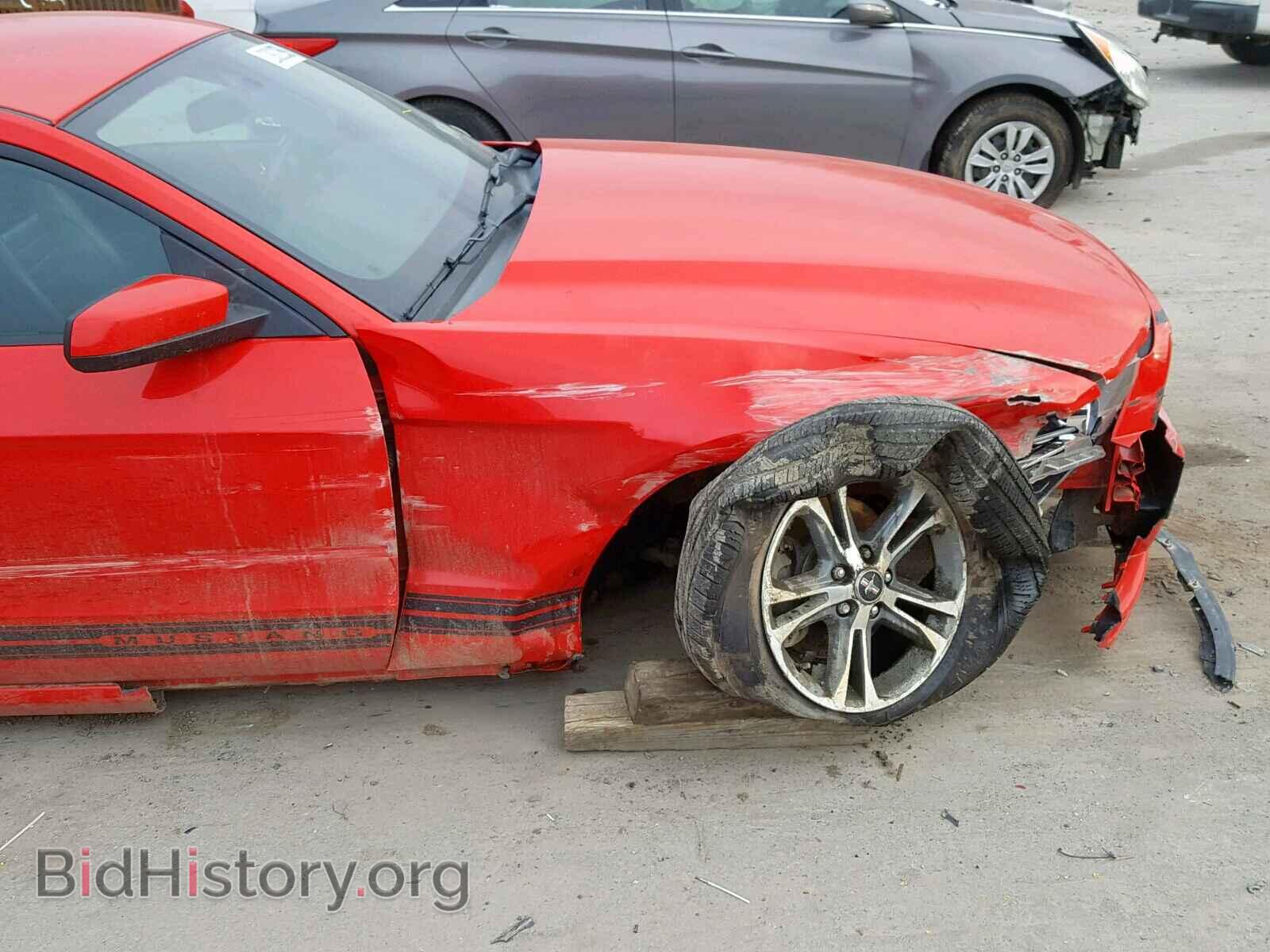 2013 FORD MUSTANG - VIN: 1ZVBP8AM7D5243766 - Фото 9