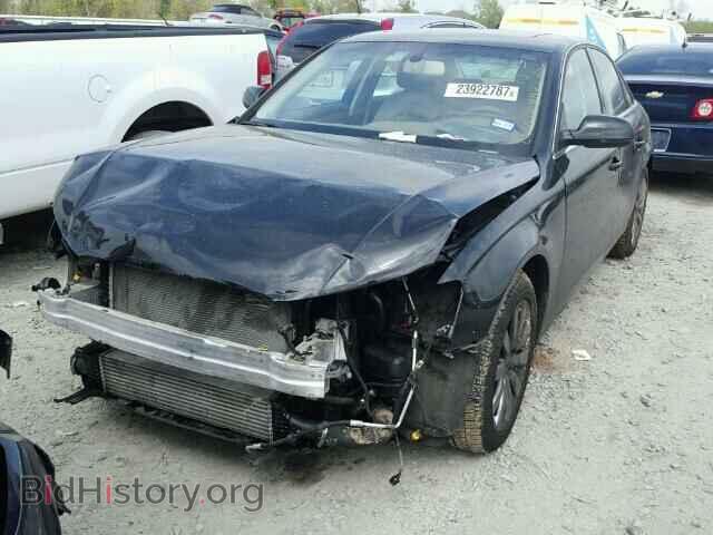 2010 AUDI A4 - VIN: WAUFFAFL4AN008782 - Фото 2
