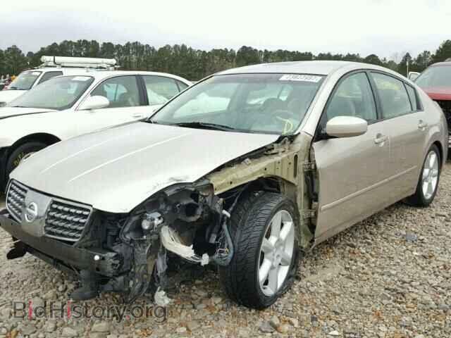2005 NISSAN MAXIMA - VIN: 1N4BA41E55C842190 - Photo 2