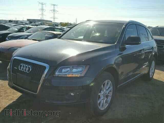 2010 AUDI Q5 - VIN: WA1CKAFP2AA028518 - Фото 2