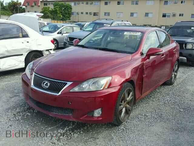 2010 LEXUS IS250 - VIN: JTHBF5C26A2094522 - Фото 2