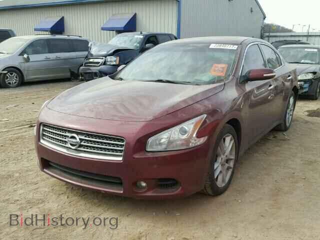 2009 NISSAN MAXIMA - VIN: 1N4AA51EX9C857324 - Фото 2