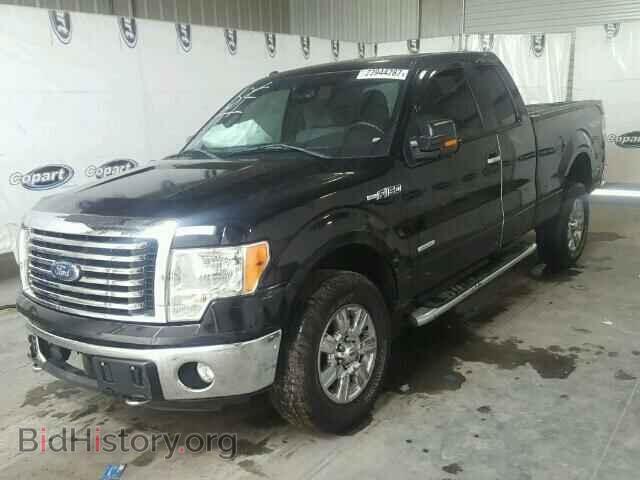 2011 FORD F150 - VIN: 1FTFX1ET2BFD20256 - Фото 2