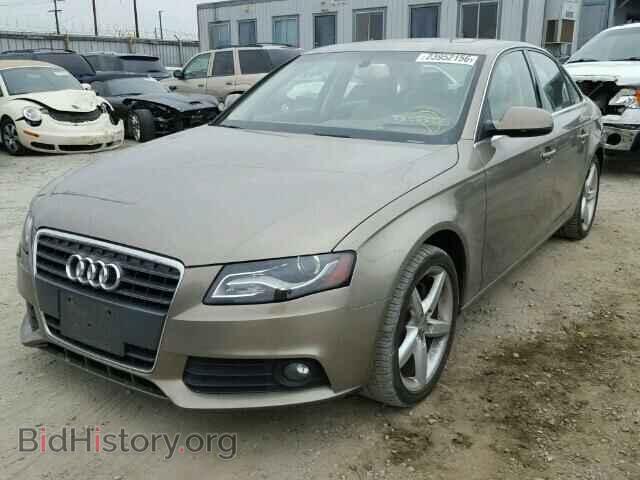 2011 AUDI A4 - VIN: WAUEFAFL3BN030513 - Фото 2