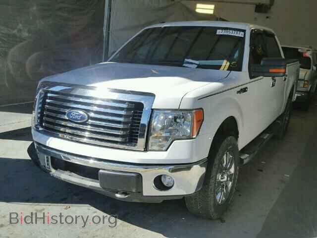 2011 FORD F150 - VIN: 1FTFW1EF0BKD08000 - Фото 2