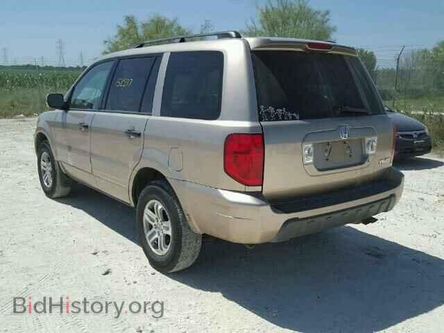 2005 HONDA PILOT - VIN: 5FNYF18555B048920 - Фото 3