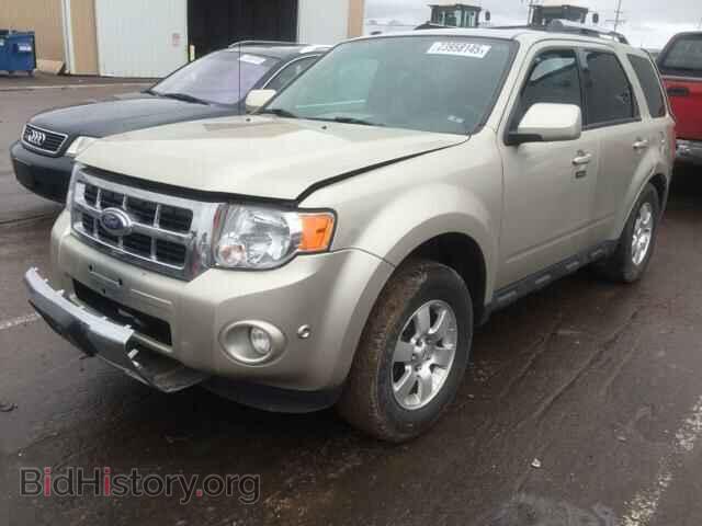 2011 FORD ESCAPE - VIN: 1FMCU9EG6BKC29989 - Фото 2