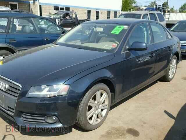 2010 AUDI A4 - VIN: WAUBFAFL2AA046436 - Фото 2