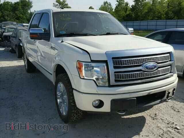 Фотография 1FTPW14V59FA70175 - FORD F150 2009
