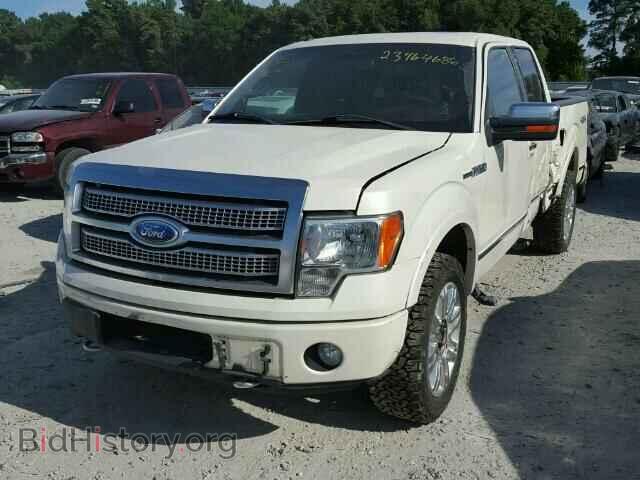 2009 FORD F150 - VIN: 1FTPW14V59FA70175 - Фото 2