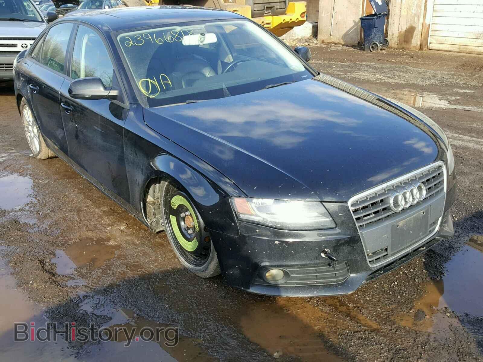 Фотография WAUBFAFL9AN041341 - AUDI A4 2010
