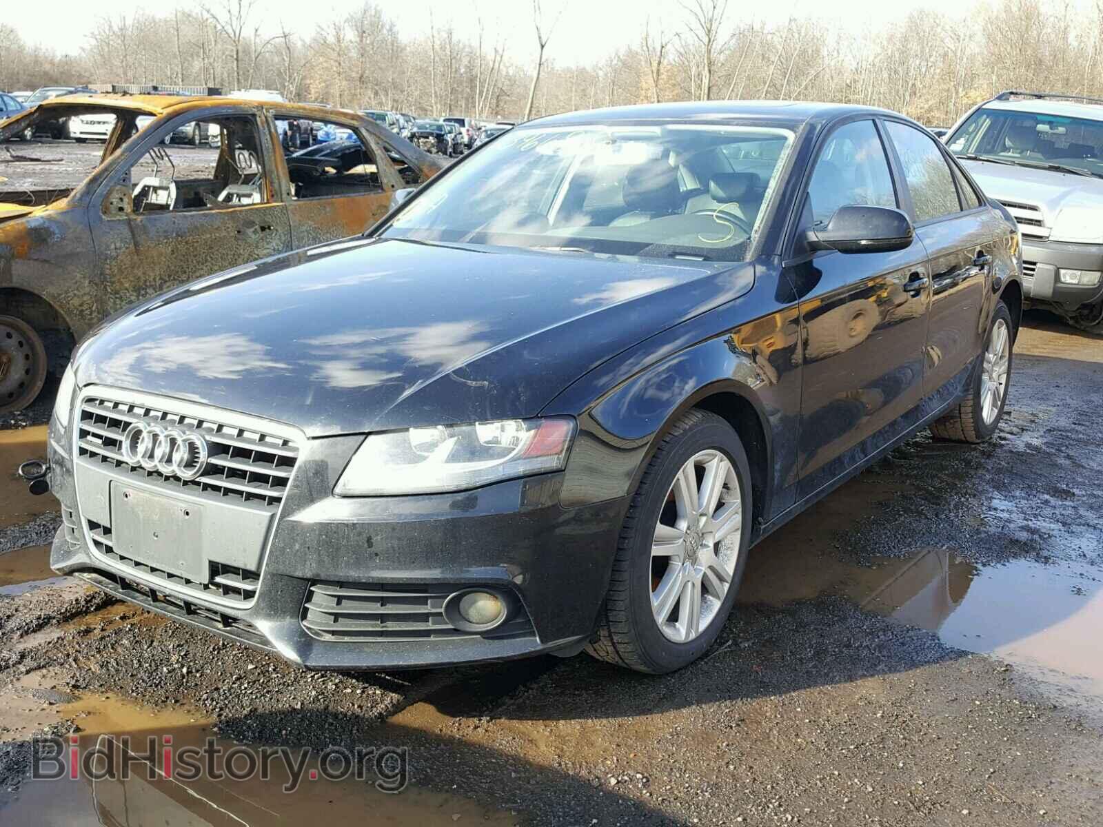 2010 AUDI A4 - VIN: WAUBFAFL9AN041341 - Фото 2