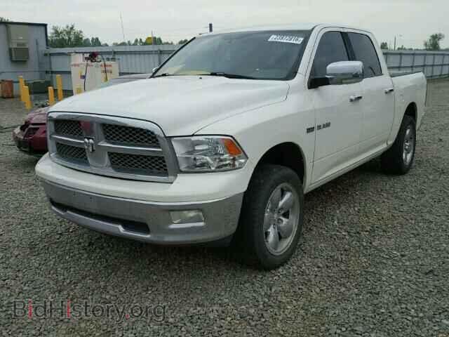 2009 DODGE RAM 1500 - VIN: 1D3HV13T79S718301 - Фото 2