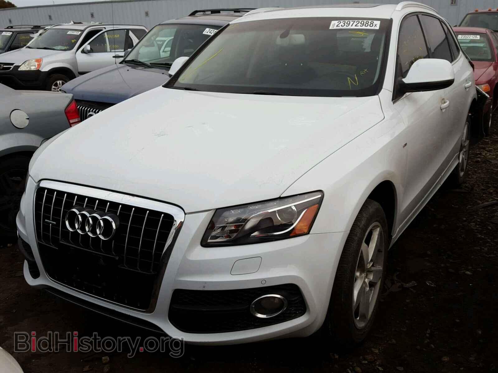 2012 AUDI Q5 - VIN: WA1DKAFP5CA026334 - Фото 2