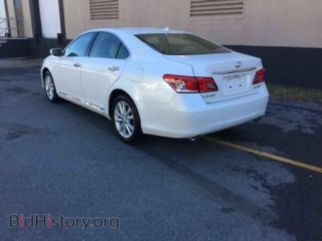 2010 LEXUS ES350 - VIN: JTHBK1EG1A2371851 - Фото 2