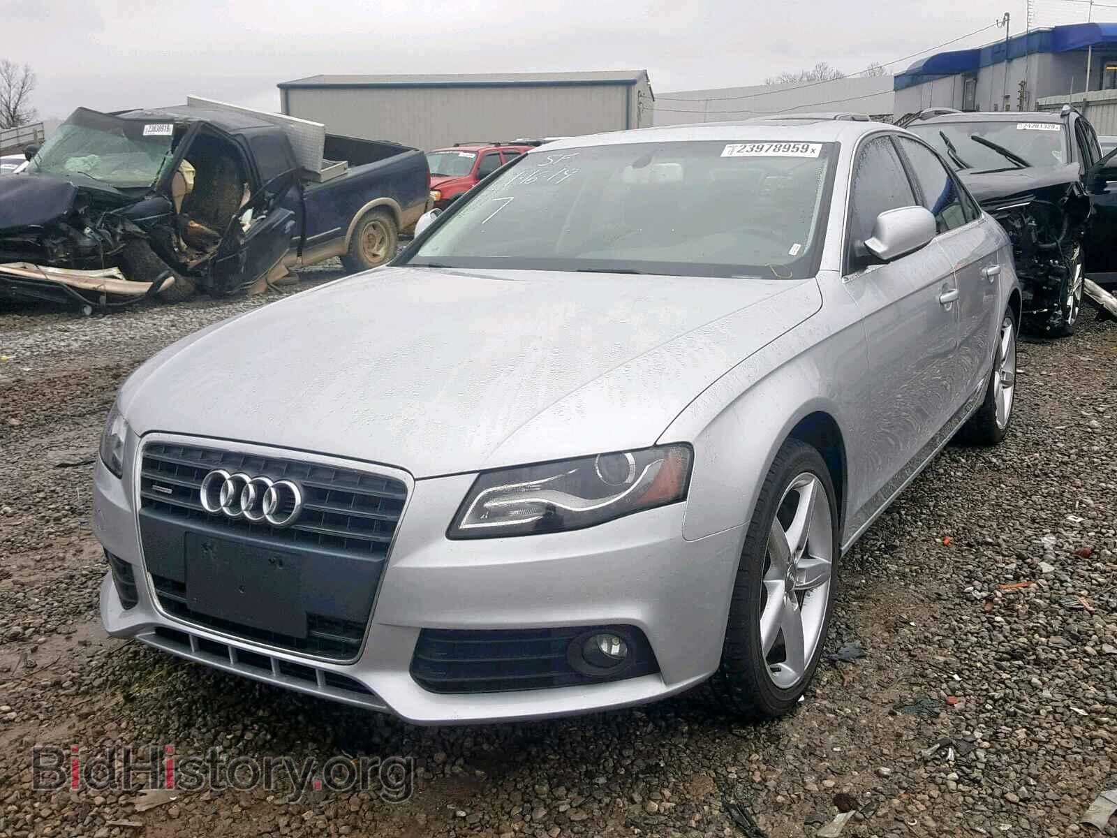 2011 AUDI A4 - VIN: WAUFFAFL8BN042788 - Фото 2