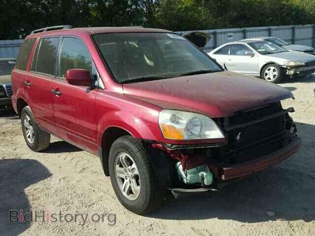 Photo 5FNYF18625B018430 - HONDA PILOT 2005