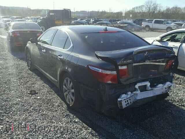 2009 LEXUS LS460 - VIN: JTHBL46F595089744 - Фото 3