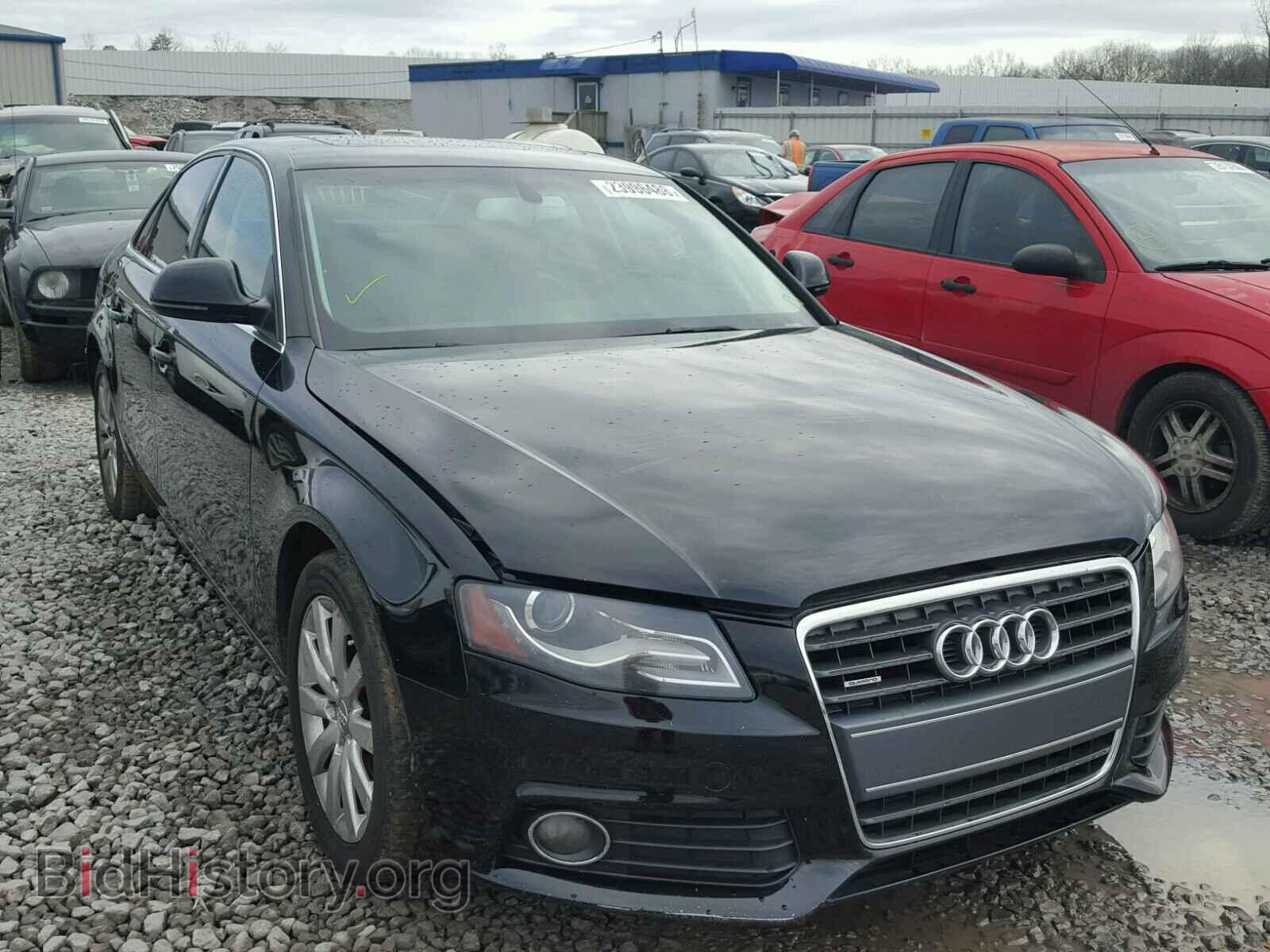 Фотография WAUSF78KX9N053047 - AUDI A4 2009