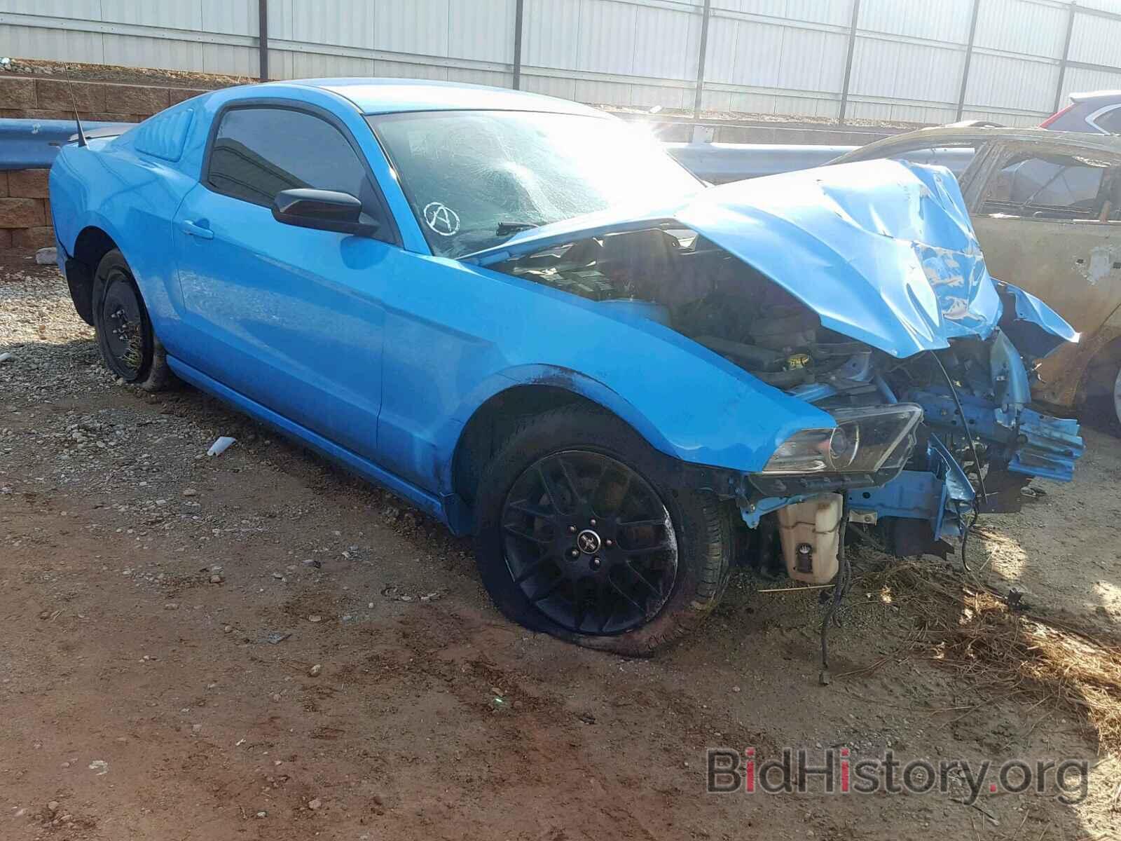 Photo 1ZVBP8AM6E5254453 - FORD MUSTANG 2014