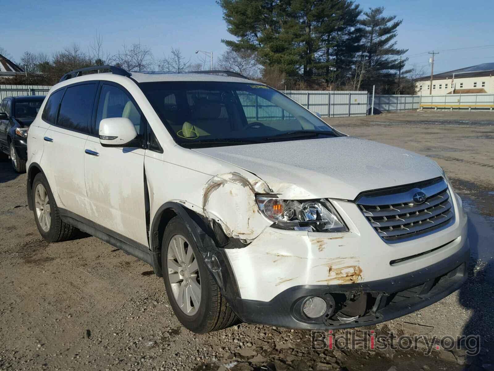 Photo 4S4WX97D094401682 - SUBARU TRIBECA 2009