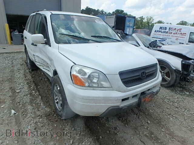 Photo 5FNYF18585B014146 - HONDA PILOT 2005